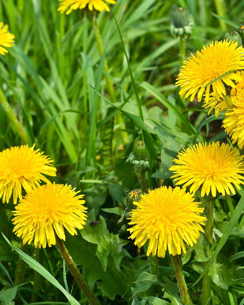 Blog Popular Products