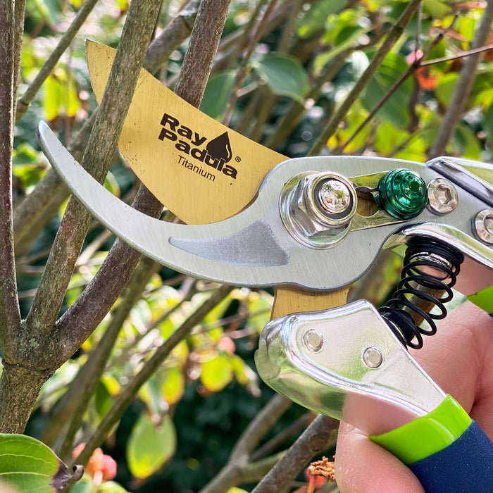 Ausyst Gardening Tools Garden Pruning Shears Stainless Steel Blades  Handheld Pruners Premium Bypass Pruning Shears For Your Garden Clearance