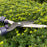 24 in. Comfi-Grip Deluxe Straight Blade Hedge Shears